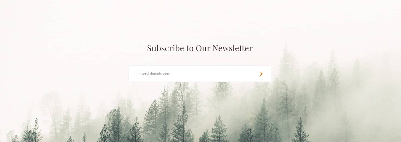 subscribe to our newsletter form