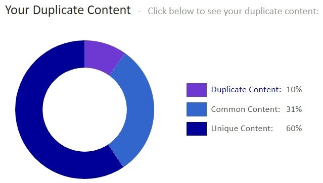 duplicated content check