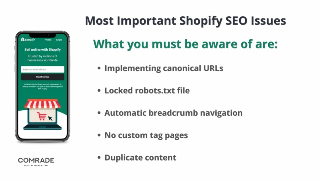 Shopify SEO Issues