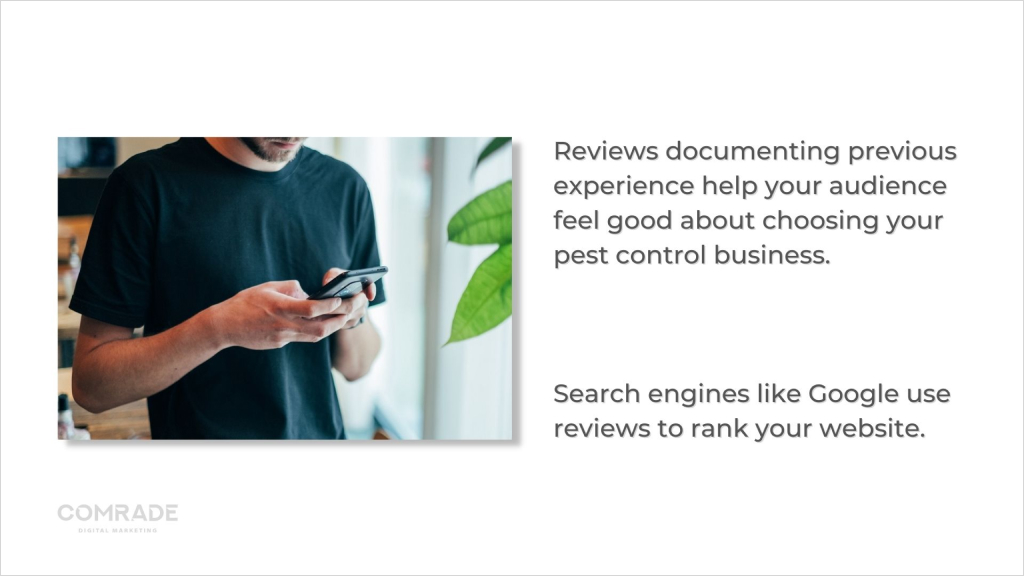People read reviews before choosing pest control company