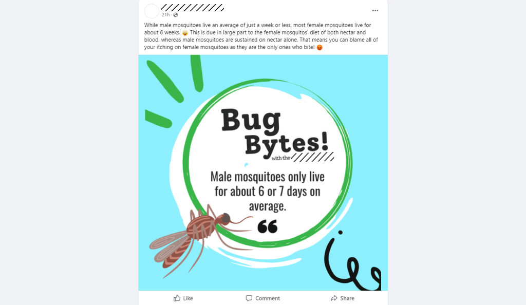 Pest control company social media post