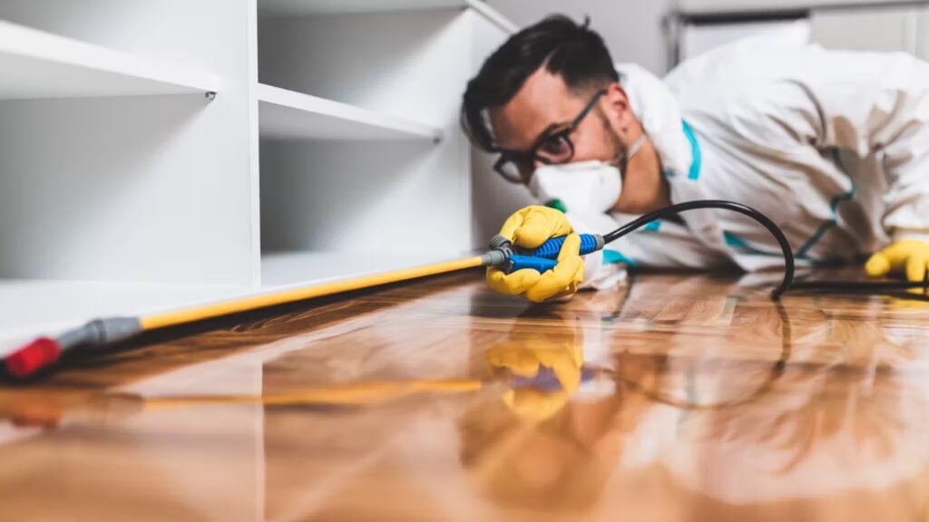 Pest Control Digital Marketing