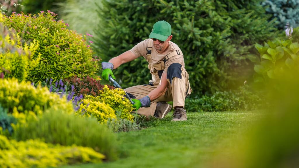 SEO for Landscapers and Lawn Care Businesses