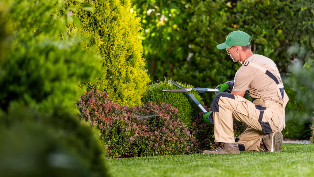 10 Best Landscaping Marketing Agencies to Grow Your Green Business