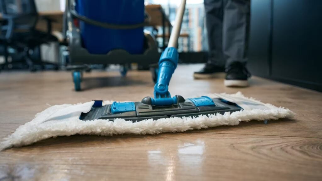 Best Cleaning Websites