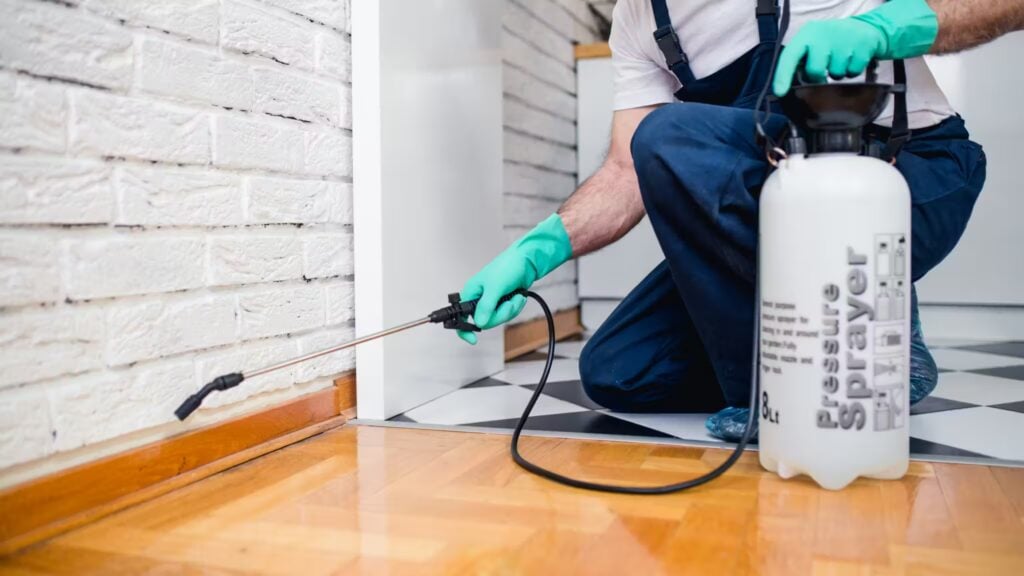 Best Pest Control Websites