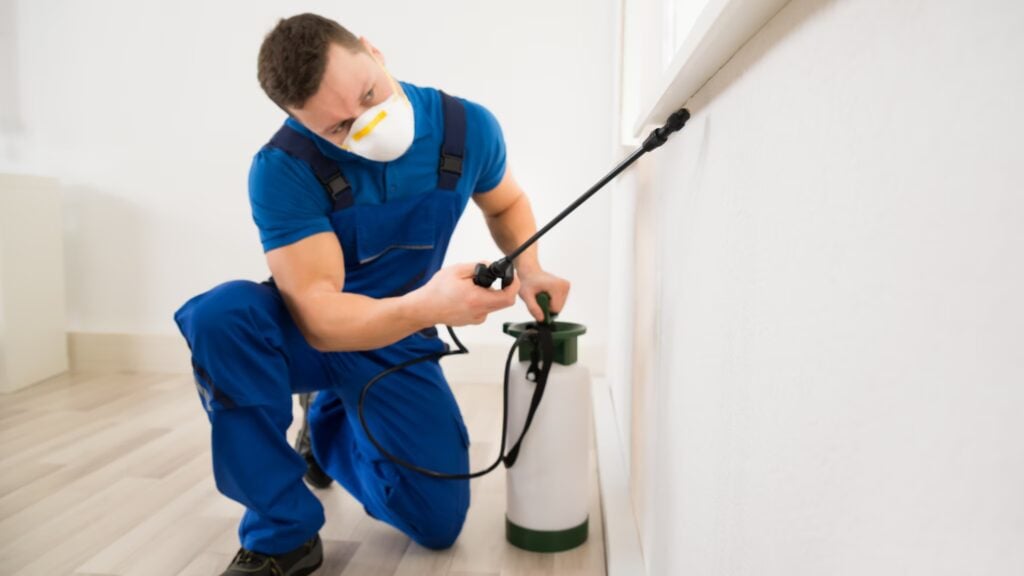 15 Pest Control Social Media Ideas