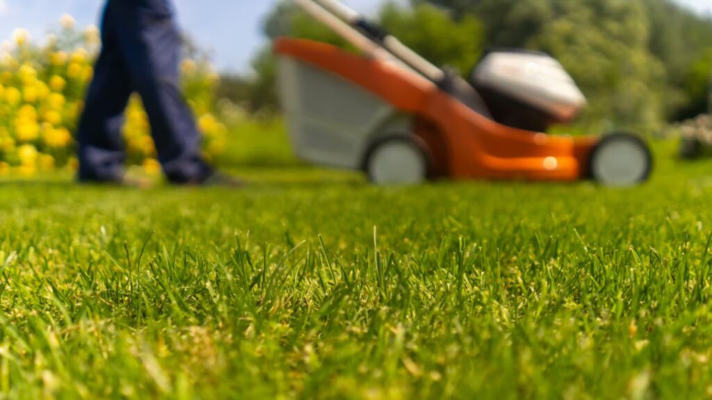 Landscaping Advertising Ideas to Book 10x More Jobs
