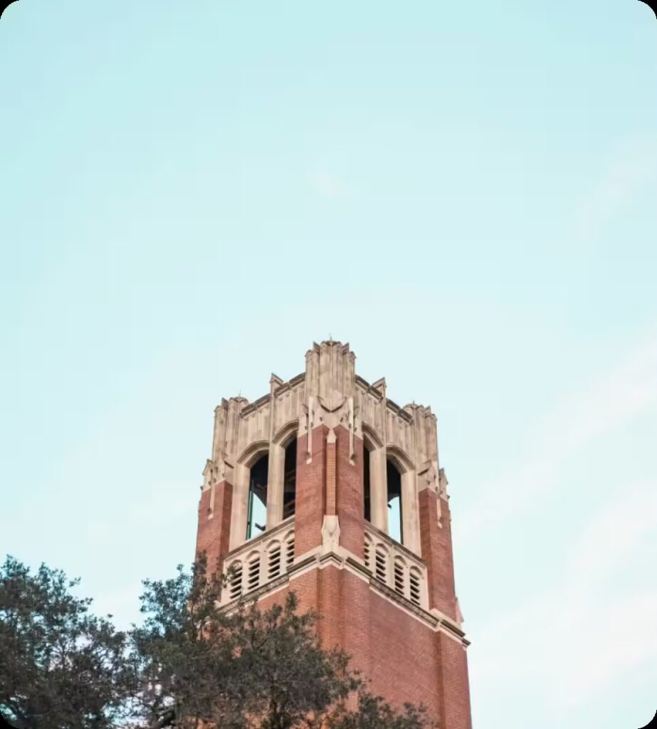 Gainesville – SEO Opportunity