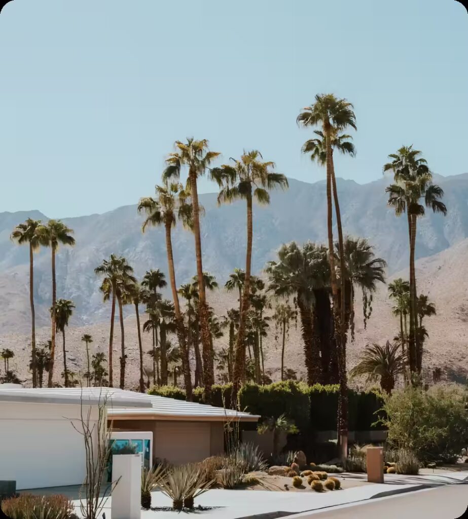 Palm Springs – SEO Opportunity