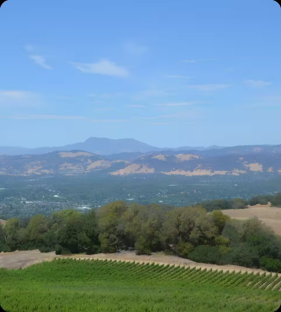 Santa Rosa – SEO Opportunity